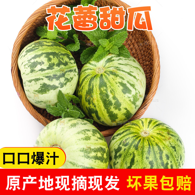 白底上的花蕾甜瓜