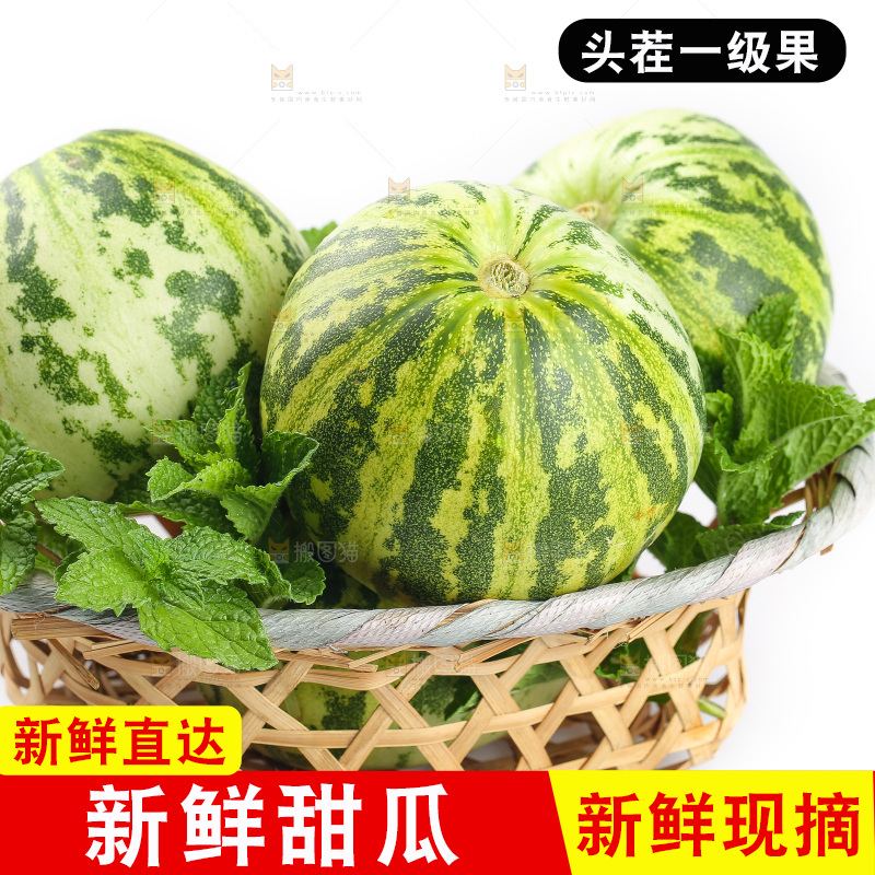 白底上的花蕾甜瓜