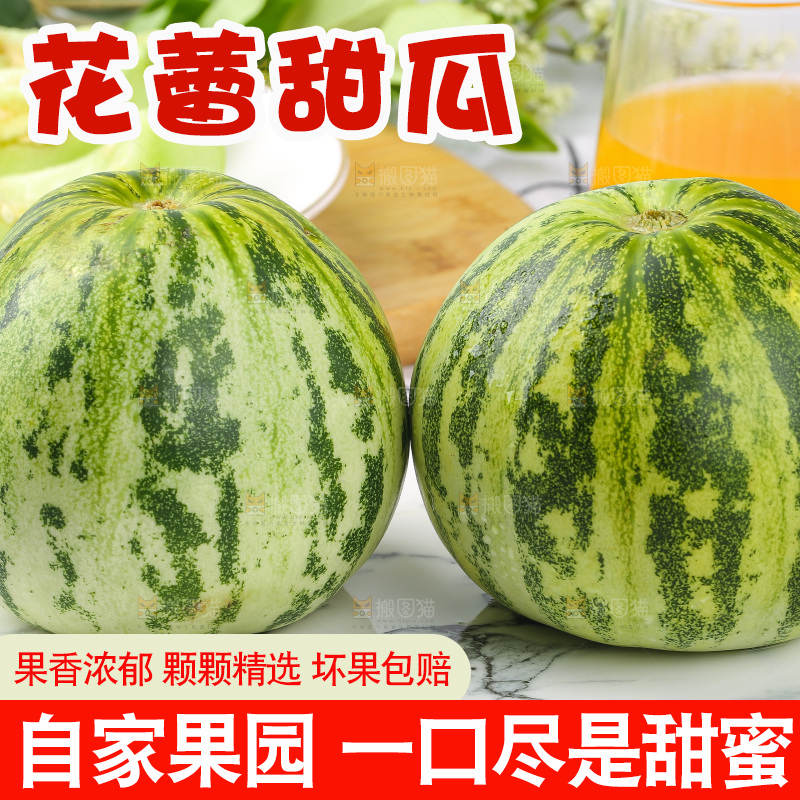 浅底上的花蕾甜瓜