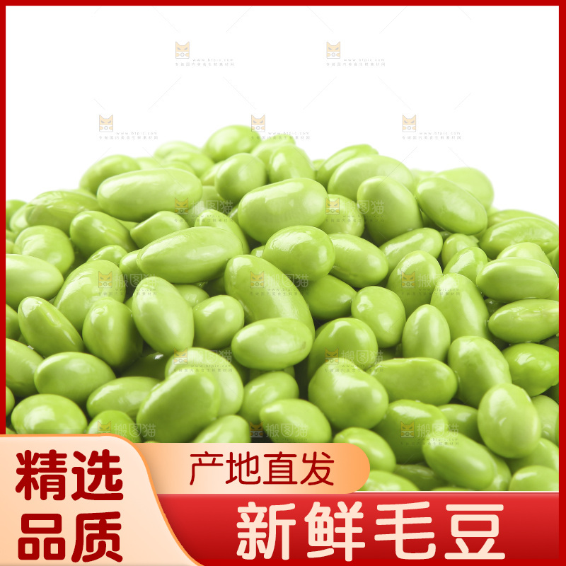 白底上的新鲜毛豆