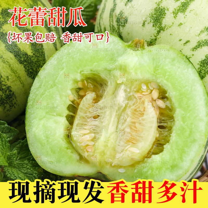 浅底上的花蕾甜瓜