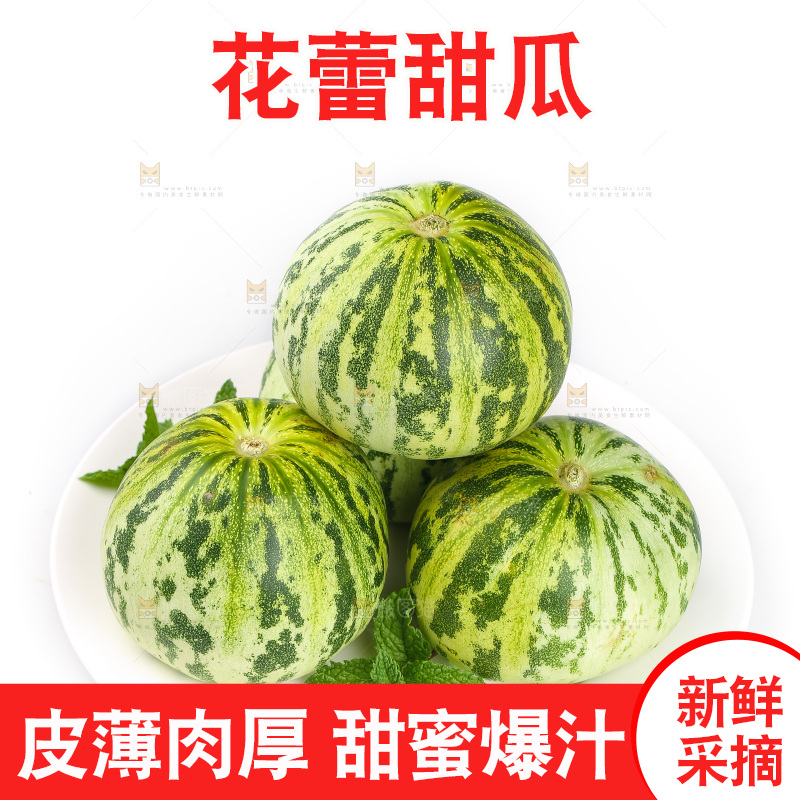 白底上的花蕾甜瓜