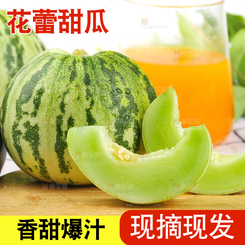 浅底上的花蕾甜瓜
