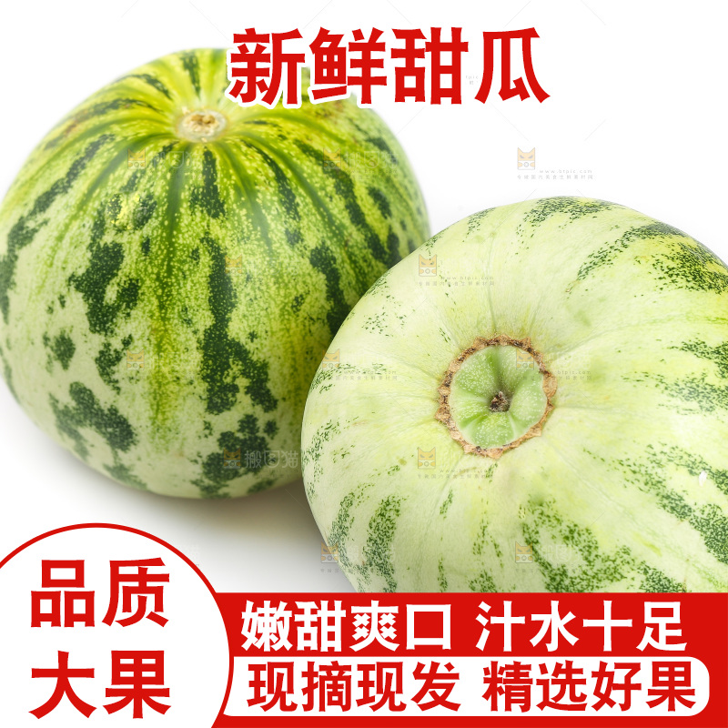 白底上的花蕾甜瓜