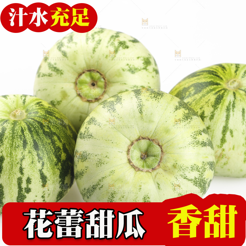 白底上的花蕾甜瓜