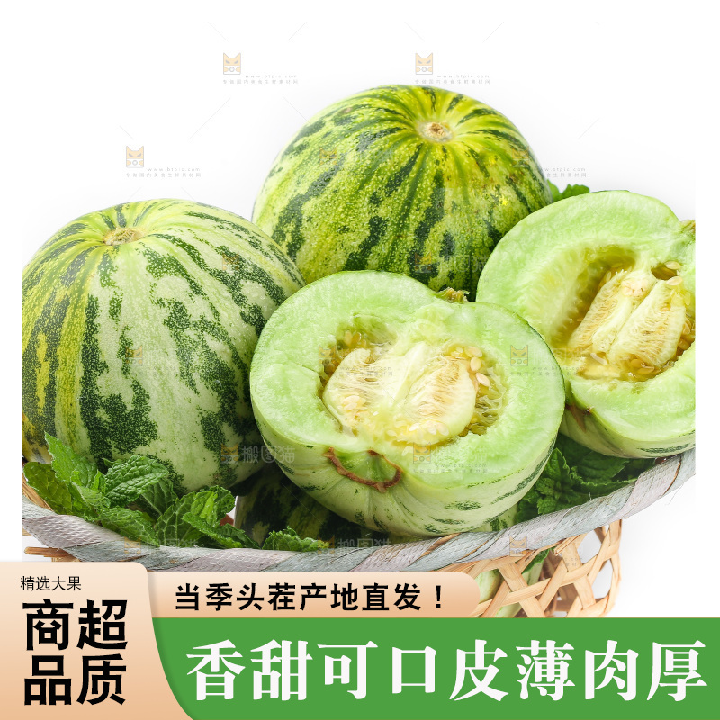 白底上的花蕾甜瓜