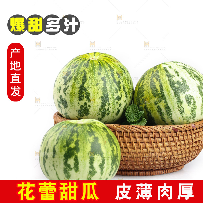 白底上的花蕾甜瓜