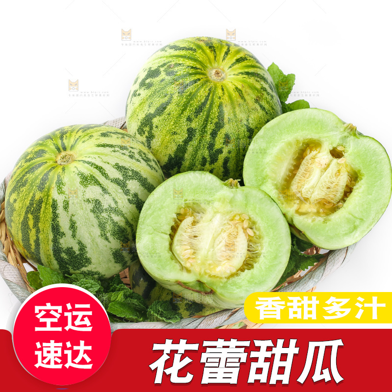 白底上的花蕾甜瓜