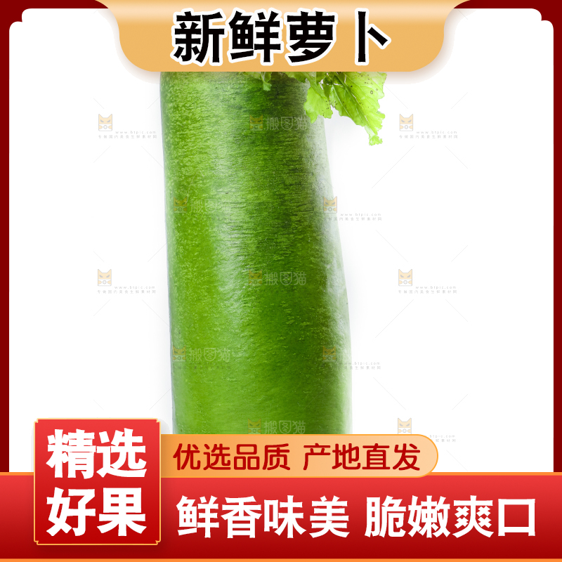 白底上的沙窝萝卜