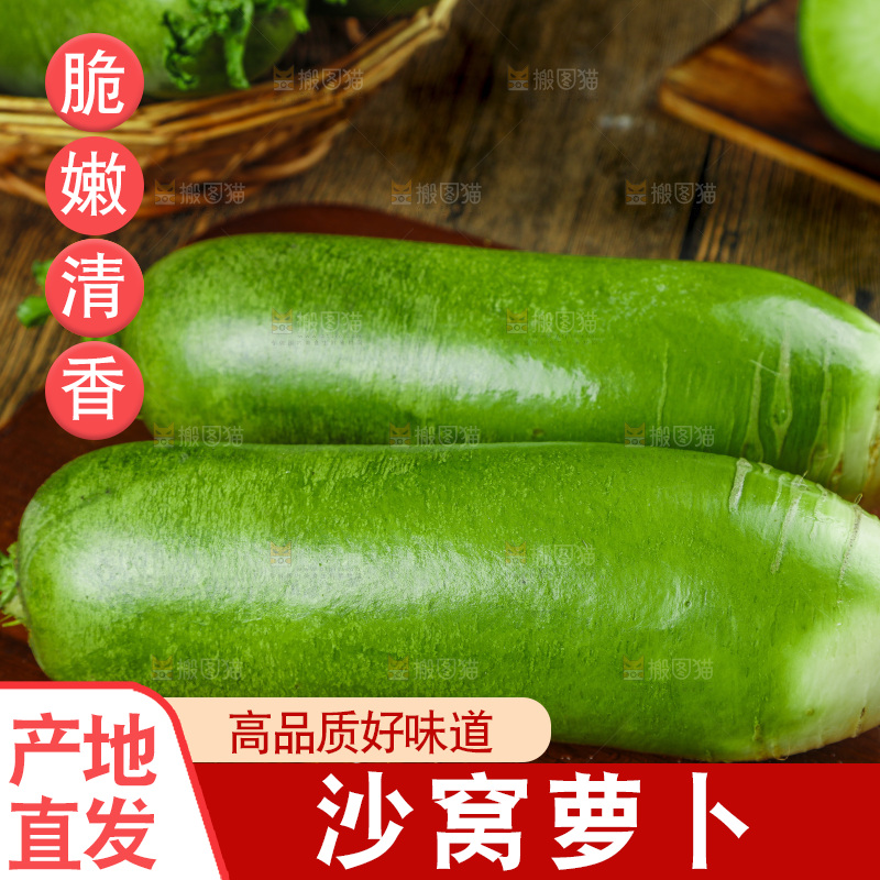 深底上的沙窝萝卜