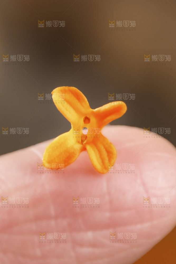 深底上的桂花