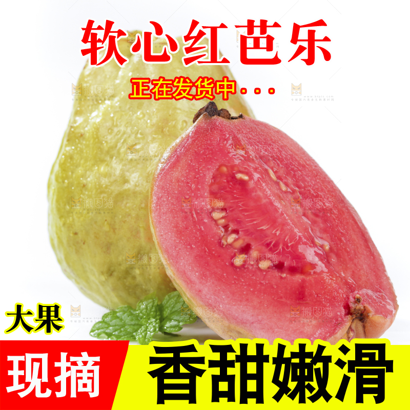 白底上的红心芭乐
