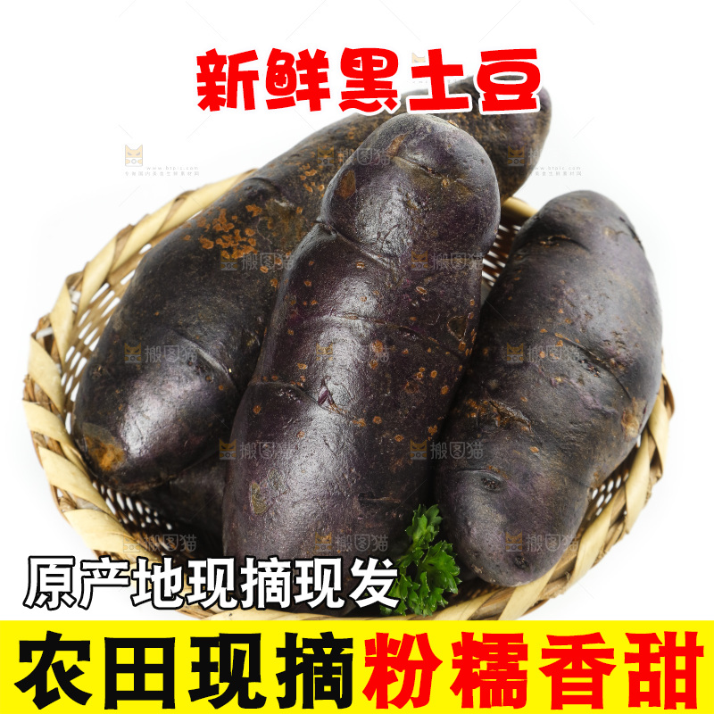 白底上的紫土豆