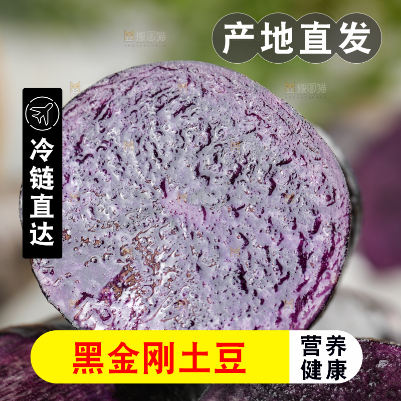 浅底上的紫土豆
