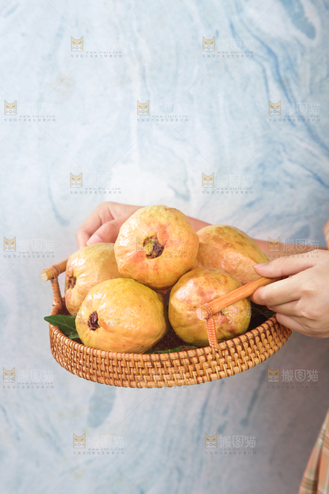 浅底上的红心芭乐