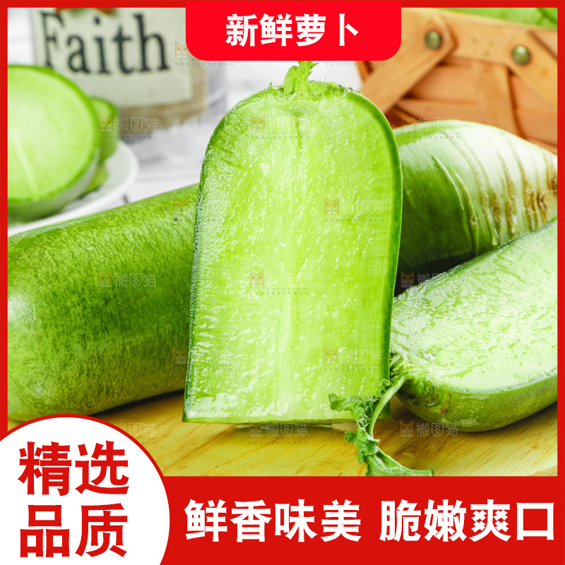 浅底上的沙窝萝卜
