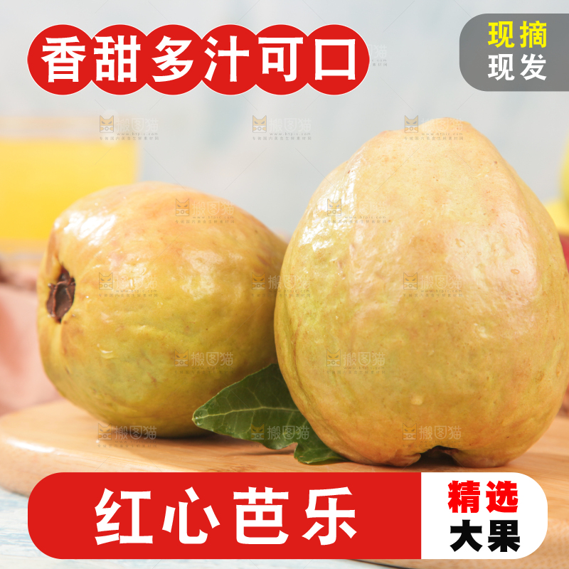 浅底上的红心芭乐