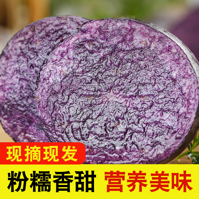浅底上的紫土豆