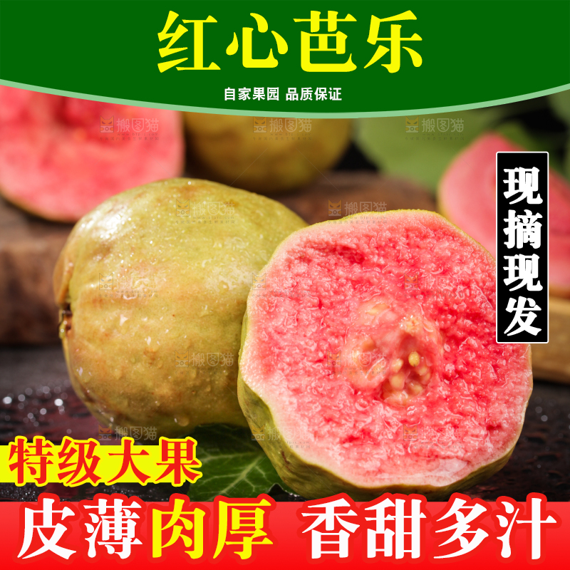 深底上的红心芭乐