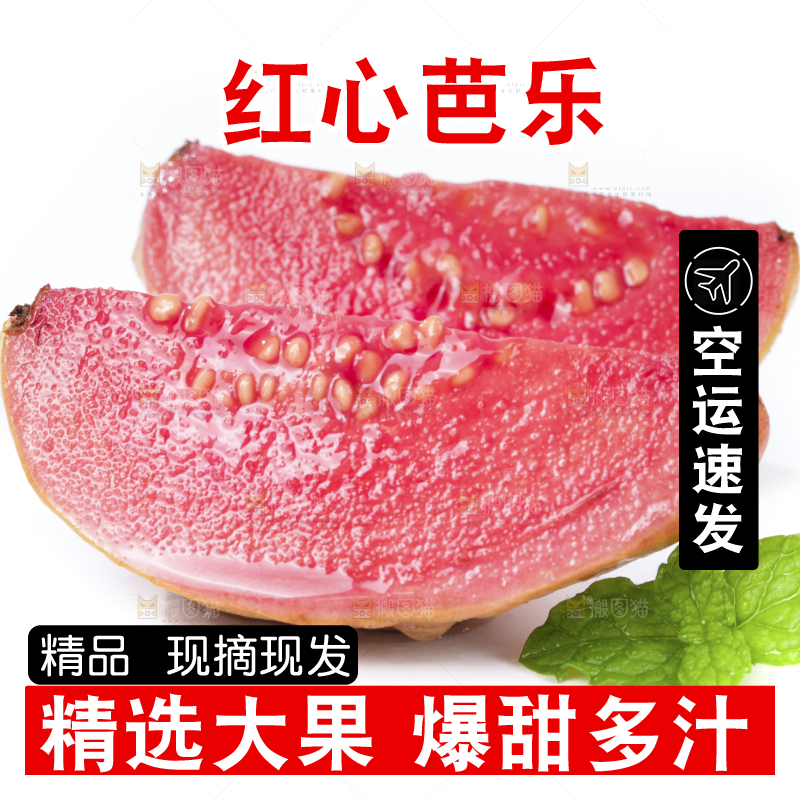 白底上的红心芭乐