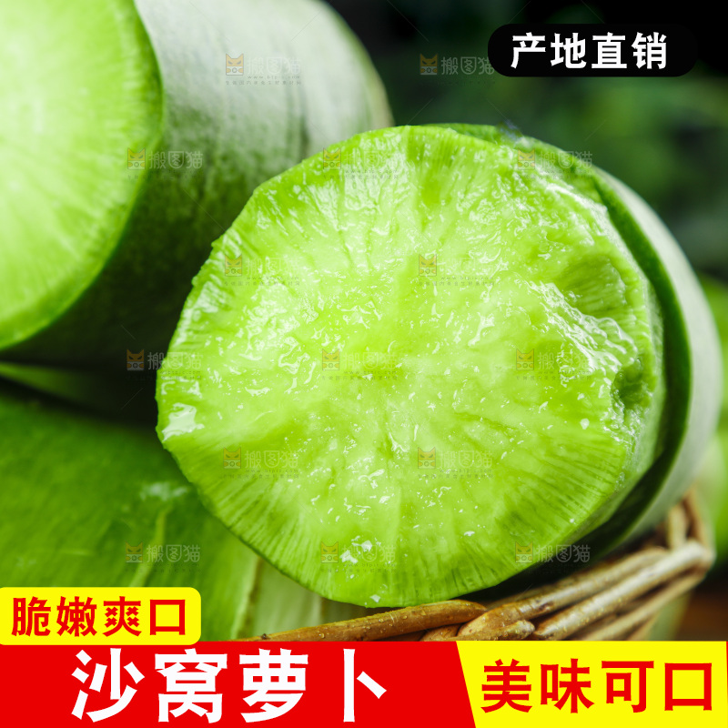 深底上的沙窝萝卜