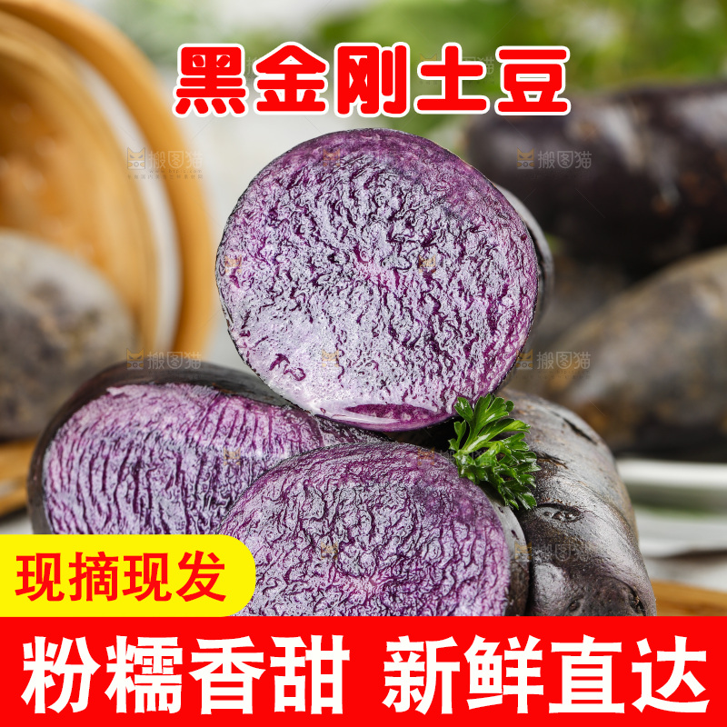 浅底上的紫土豆