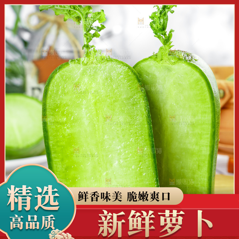 浅底上的沙窝萝卜