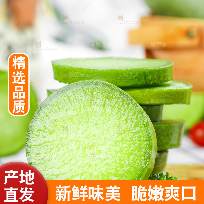 浅底上的沙窝萝卜