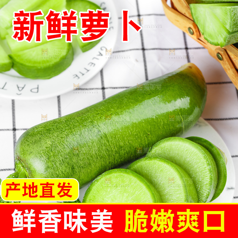 浅底上的沙窝萝卜
