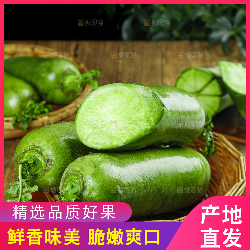 深底上的沙窝萝卜