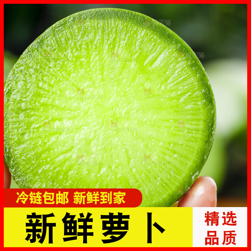 深底上的沙窝萝卜