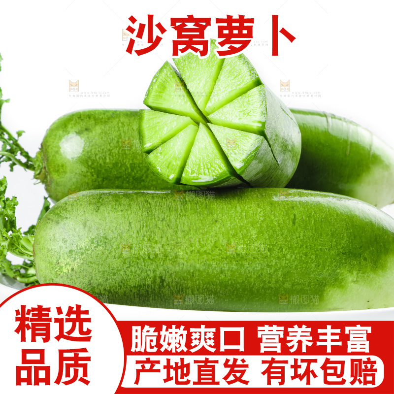 白底上的沙窝萝卜