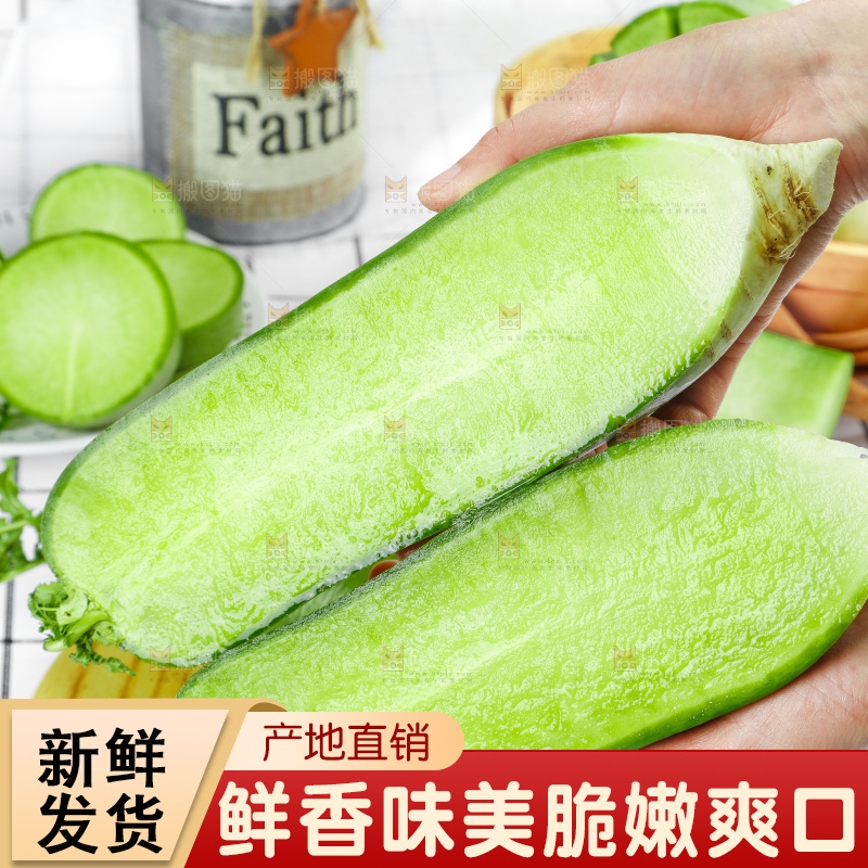 浅底上的沙窝萝卜
