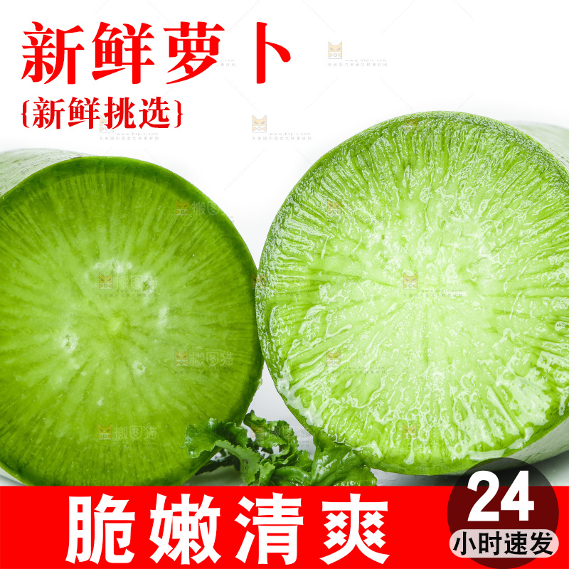白底上的沙窝萝卜