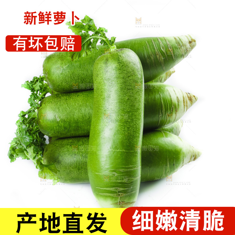 白底上的沙窝萝卜