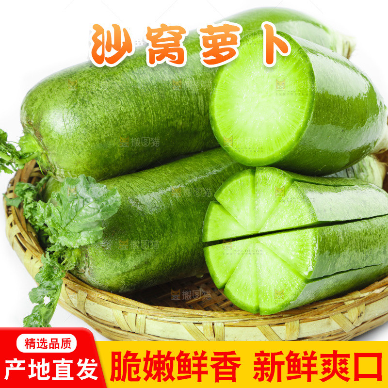 白底上的沙窝萝卜