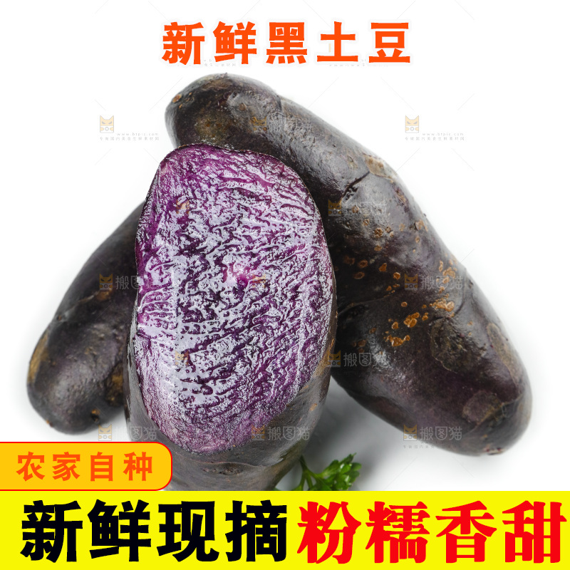 白底上的紫土豆