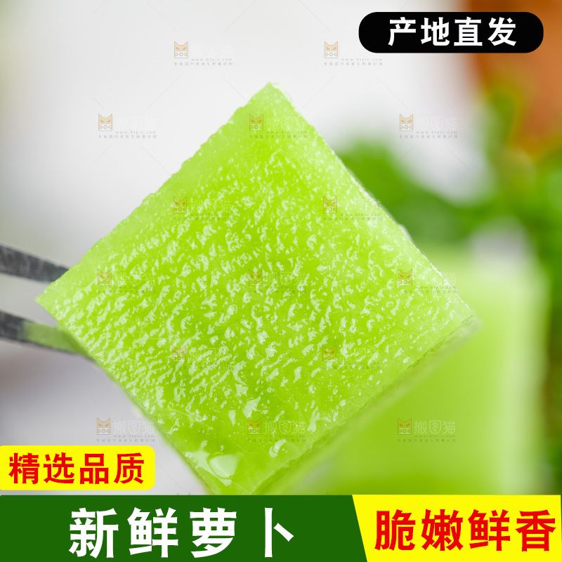 浅底上的沙窝萝卜