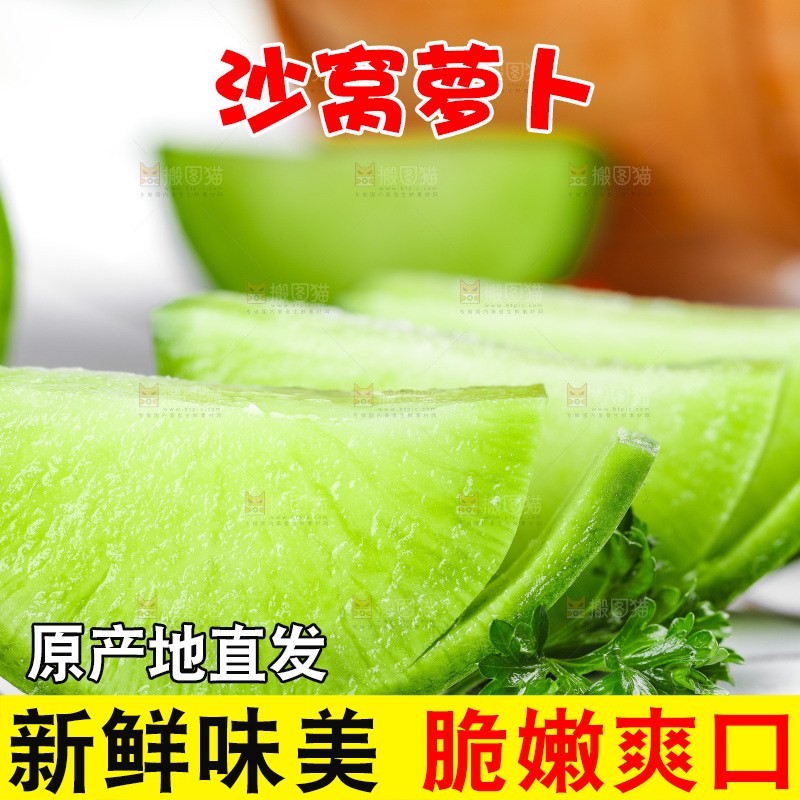 浅底上的沙窝萝卜