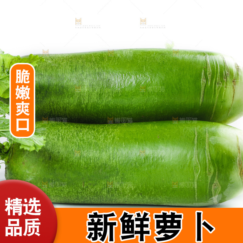 白底上的沙窝萝卜