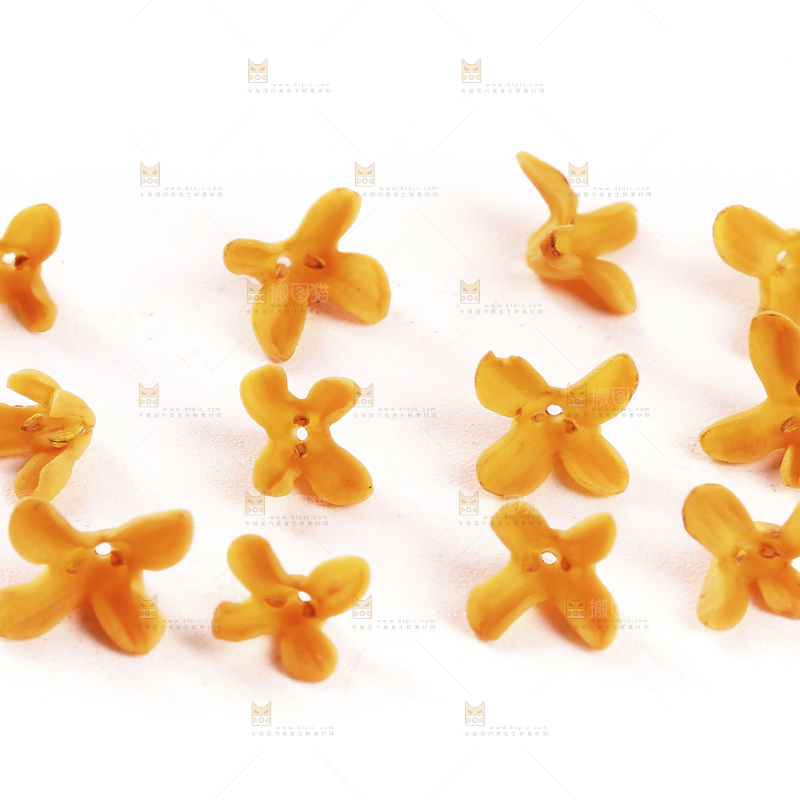白底上的桂花