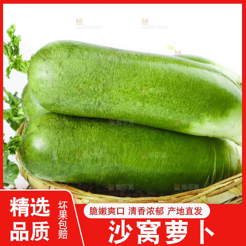 白底上的沙窝萝卜