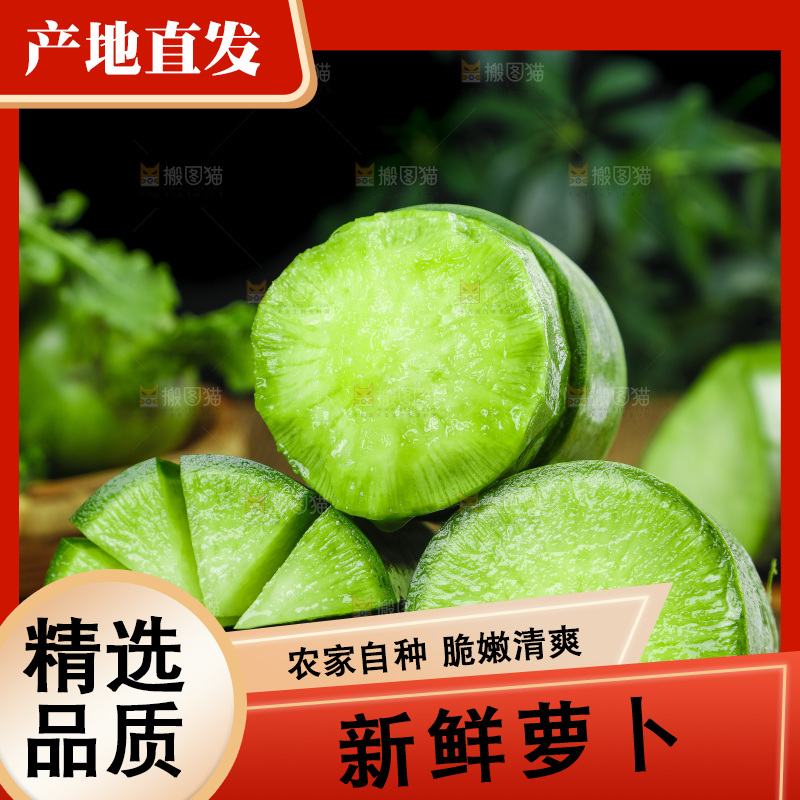 深底上的沙窝萝卜