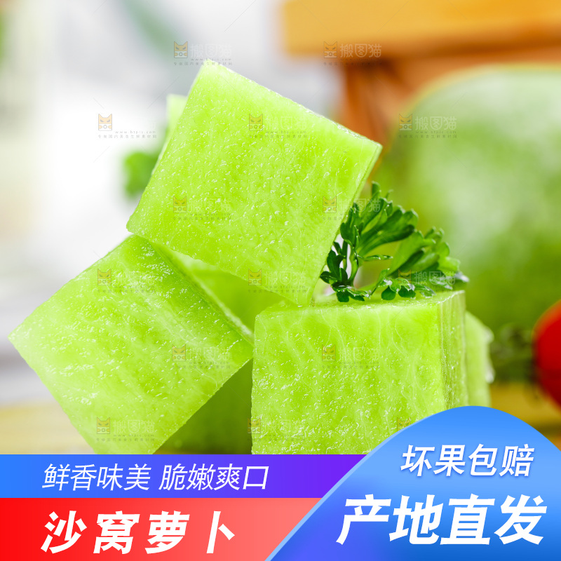 浅底上的沙窝萝卜