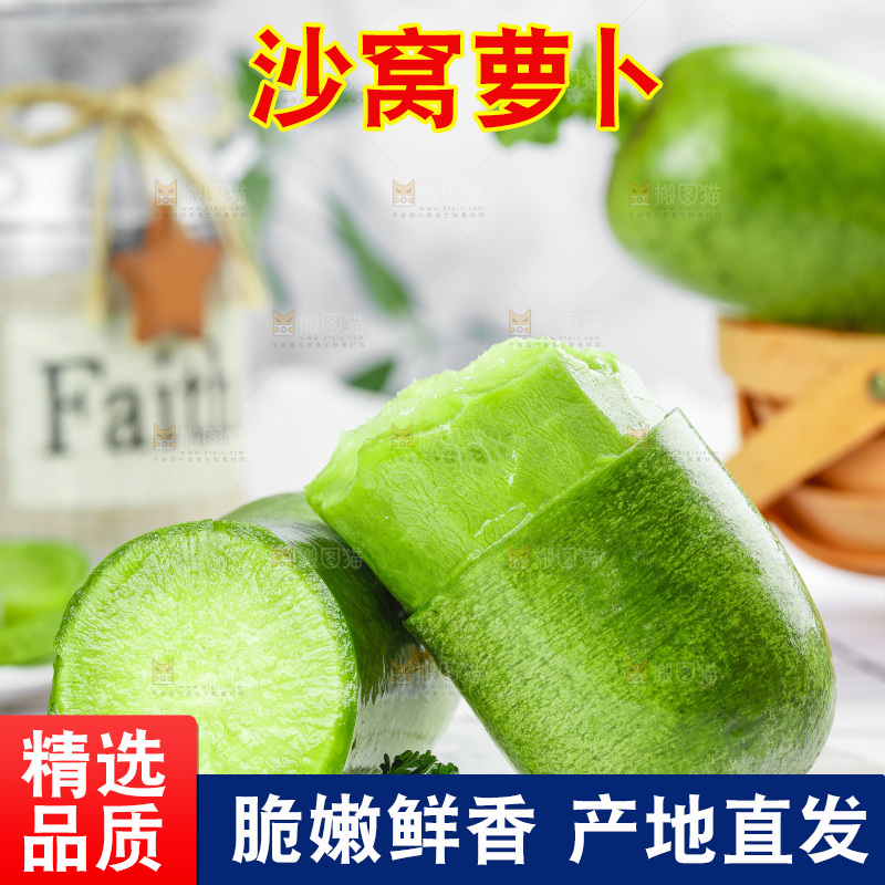 浅底上的沙窝萝卜