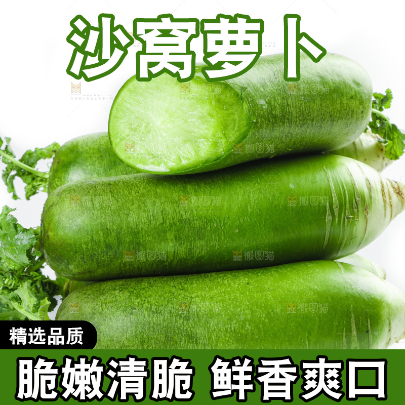 白底上的沙窝萝卜