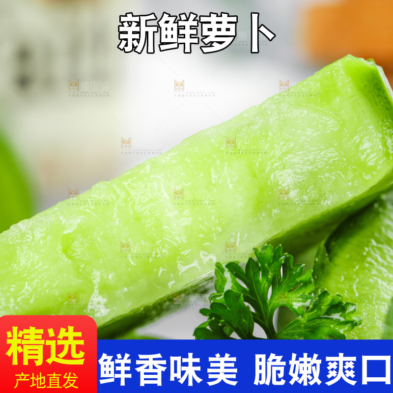 浅底上的沙窝萝卜