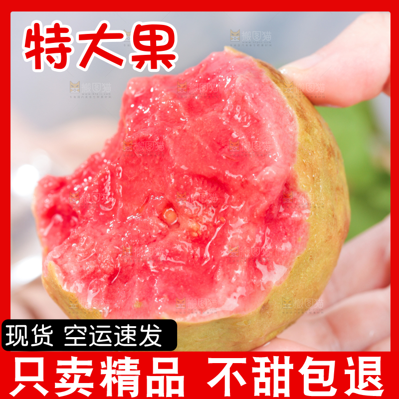 浅底上的红心芭乐