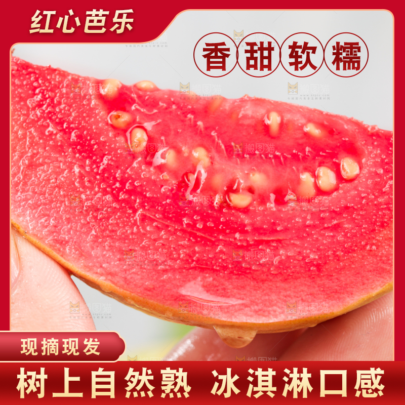 浅底上的红心芭乐