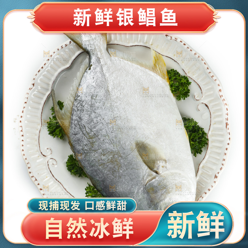 白底上的银鲳鱼